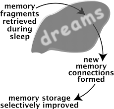 Dreams and Memory Consolidation: